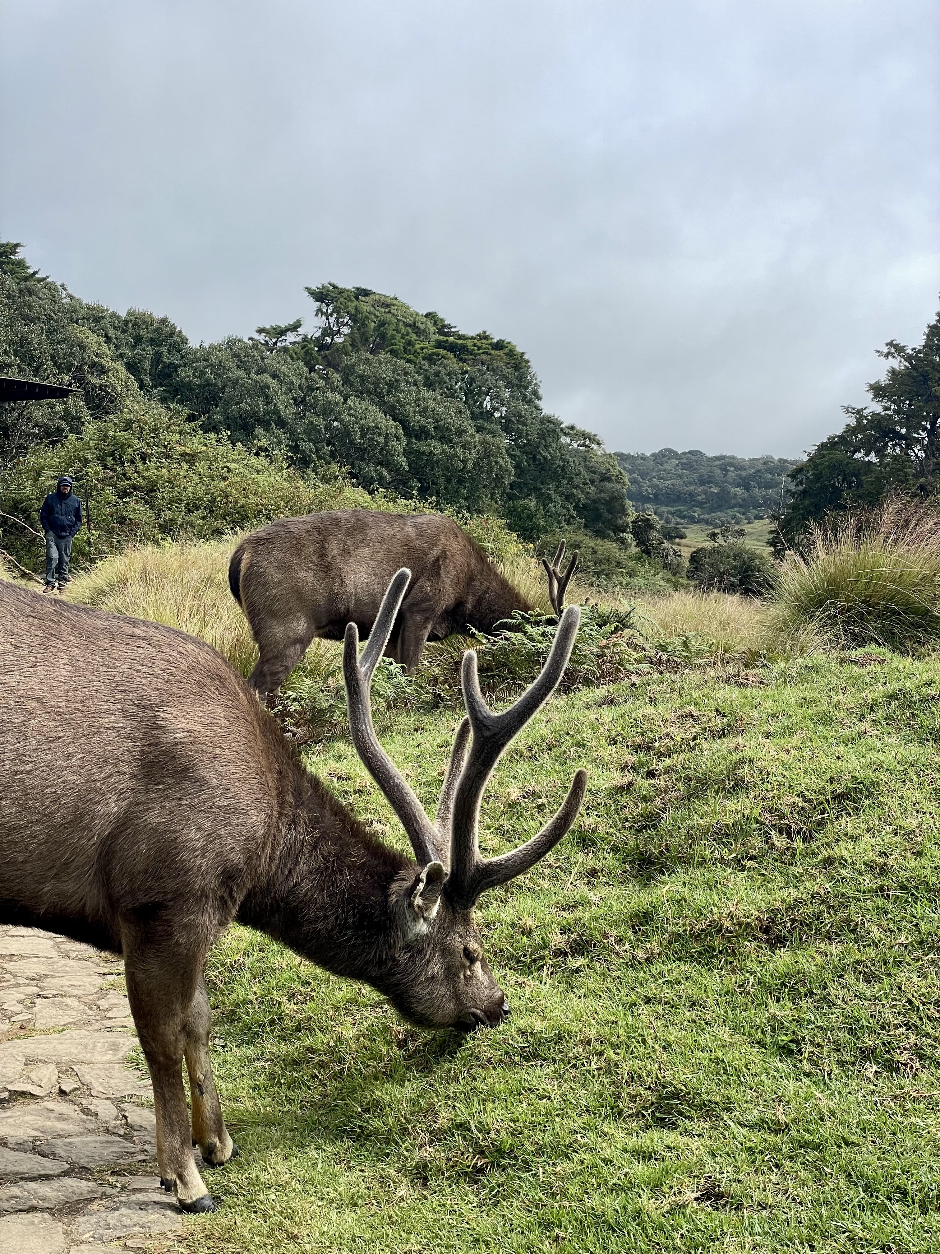 Horton Plains National Park