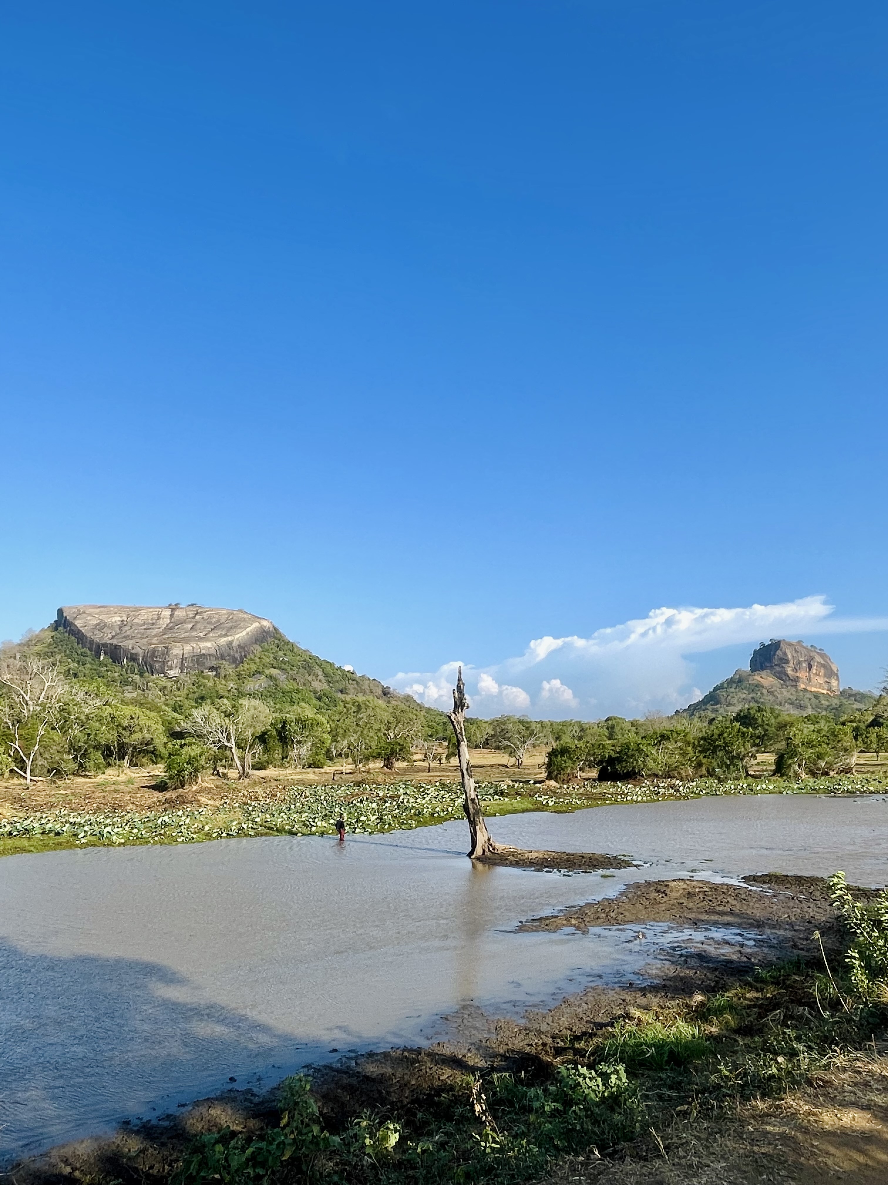     Sigiriya & Pidurangala — Two Giants, One View 